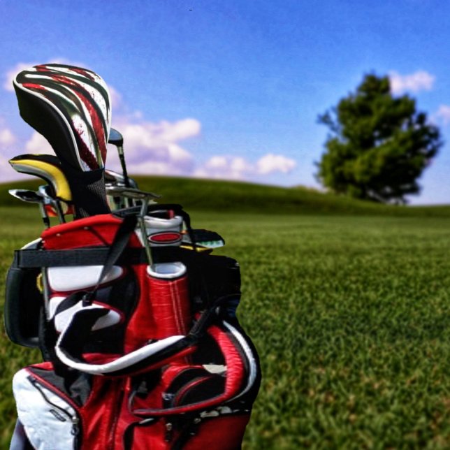 Couvre-club De Golf Traversée en bambou (This Bamboo Crossing Golf Club Cover, has an eye-catching design!)