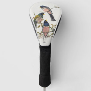Couvre-club De Golf Trois Trogons Vibrants Posés sur une Branche Art d