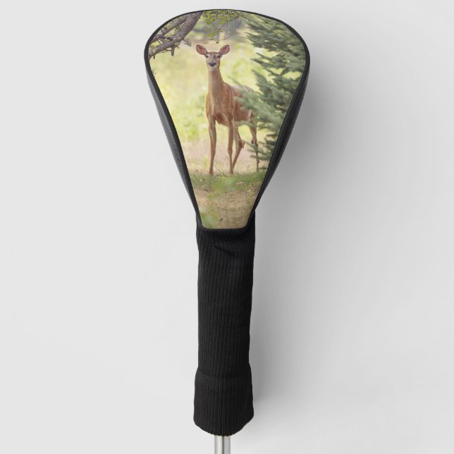 Couvre-club De Golf Un cerf solitaire  (Devant)