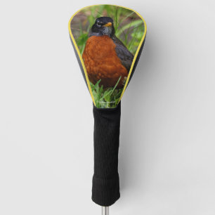 Couvre-club De Golf Un étrange Robin Américain dans l'herbe