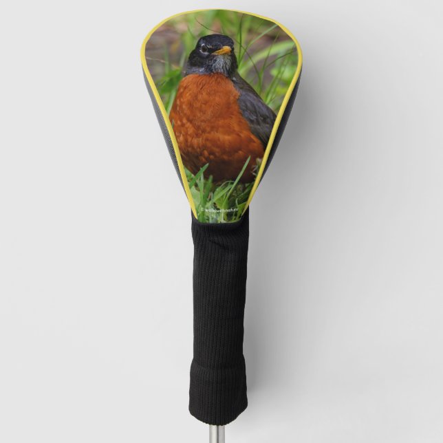 Couvre-club De Golf Un étrange Robin Américain dans l'herbe (Devant)