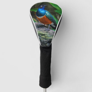 Couvre-club De Golf Un superbe Starling Africain