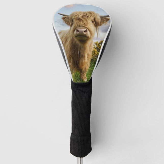 Couvre-club De Golf Young Highland Cow (Devant)