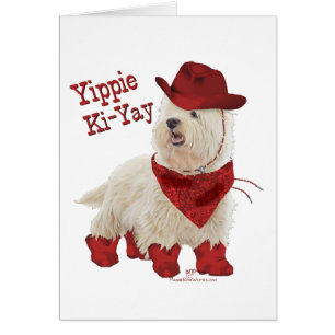 Cow-boy en bottes