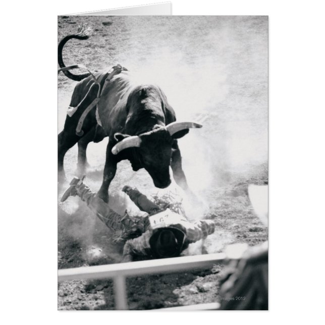 Cowboy au sol après être tombé du taureau (Devant)