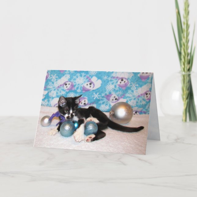 Cowboy le chaton adorable (chat) Carte de Noël (Devant)