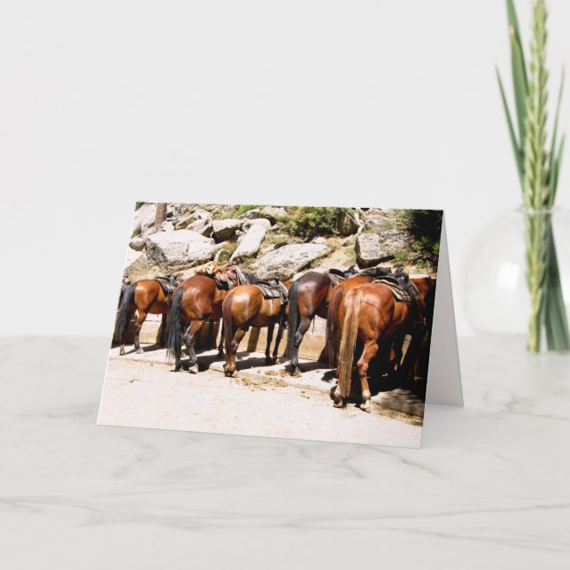 Cowboy Up Get Well Bientôt Carte (Devant)