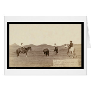 Cowboys Roping un écart-type 1887 de Buffalo