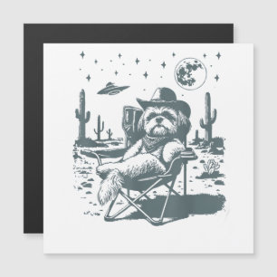 Cowboys UFO Western français