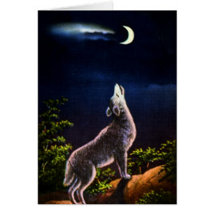 Coyote Howling sur la lune