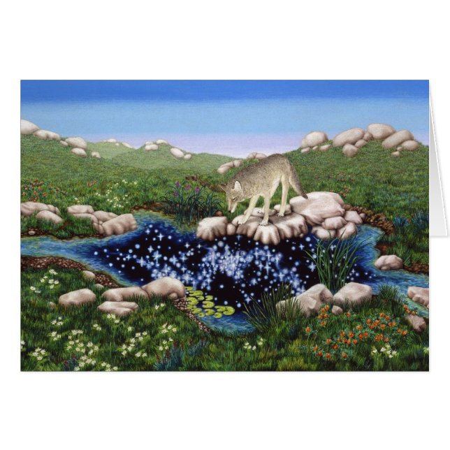 Coyote par Darlene P. Coltrain (Devant horizontal)