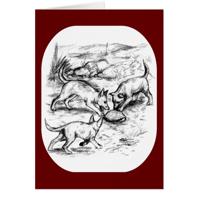 Coyote Pups (Devant)