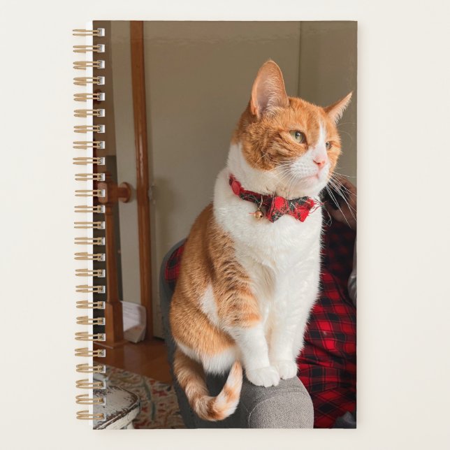 Cozy Orange Tabby Cat Planner Small (Devant)