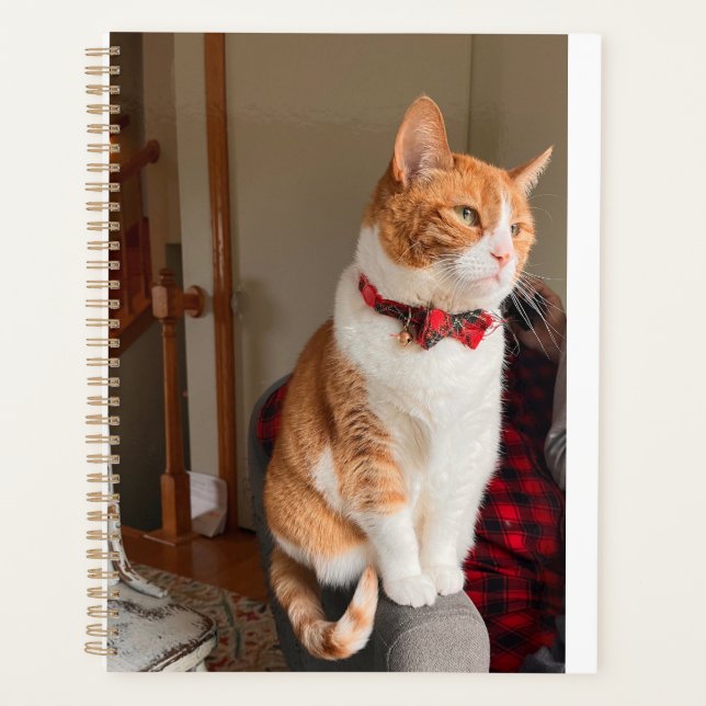 Cozy Planner Small Tabby Cat Planner (Devant)
