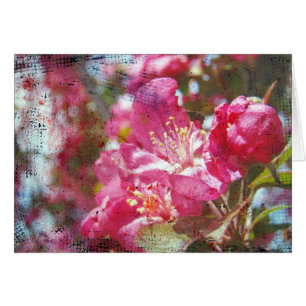 Crabapper Blossoms Toutes Les Occasions Carte de v