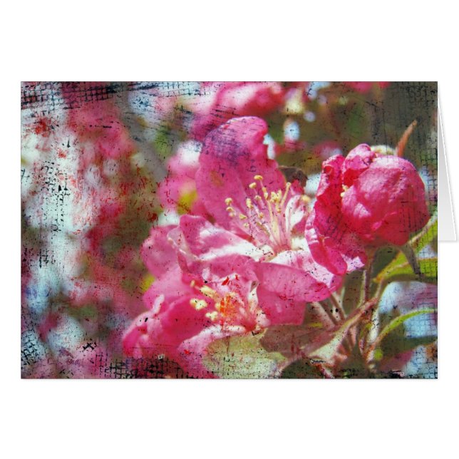 Crabapper Blossoms Toutes Les Occasions Carte de v (Devant horizontal)