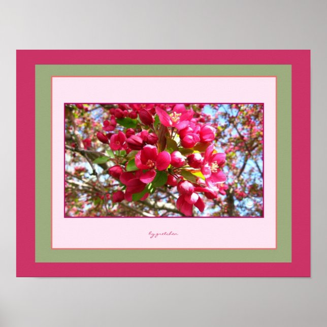 Crabappy Blossoms 2 Photo Poster par gretchen (Devant)