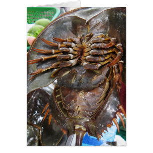 Crabe à fer à cheval ... Carte alimentaire thaïe a
