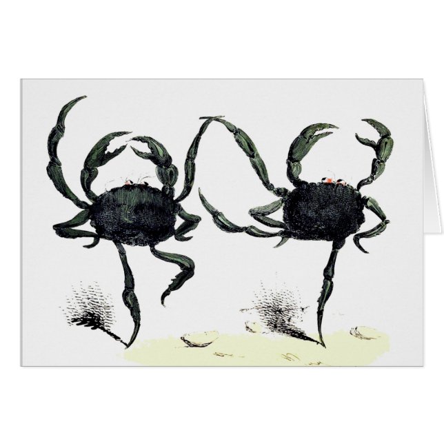 Crabe tango danse mignonne crabe de plage d'été vi (Devant horizontal)
