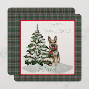 Craig Tartan moderne Happy Pawlidays Chien