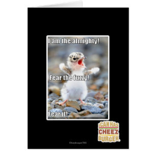 Craignez le brouillé !