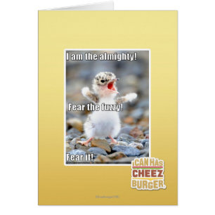 Craignez le brouillé !