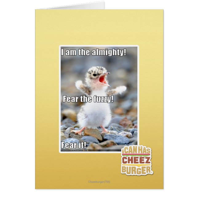 Craignez le Fuzzy ! (Devant)