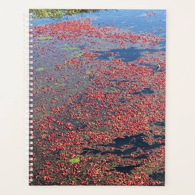 Cranberry Farm, Long Beach, Washington (Devant)