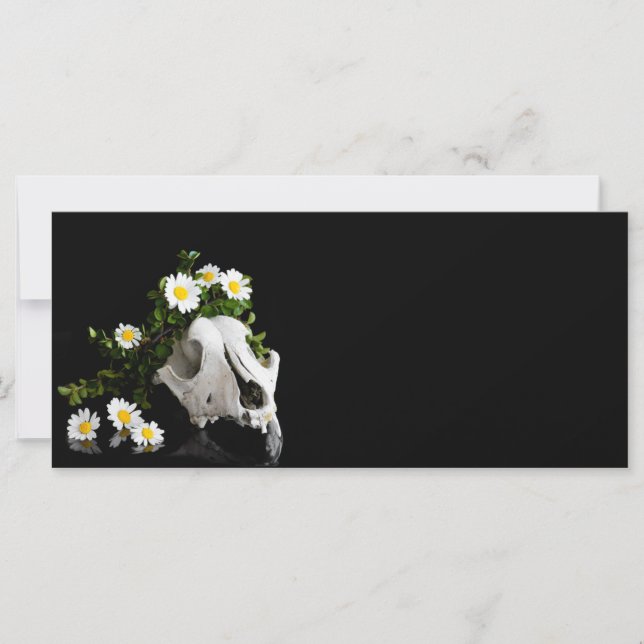 Crâne animal avec une couronne de fleur sauvage (Devant)