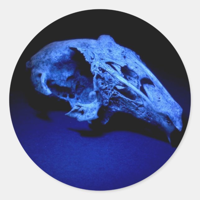 Crâne de lapin - Ensemble de 20 autocollants (Devant)