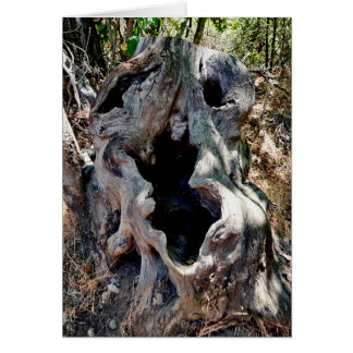 Crâne de souche d'arbre