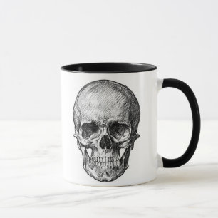 crâne d'enfant et tasse de crâne d'adulte