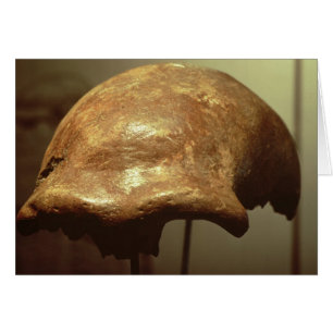 Crâne d'un Néandertal