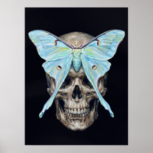 Crâne et papillon lunaire — Memento Mori Affiche I