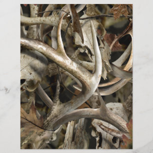 Crânes de cerfs de Camo