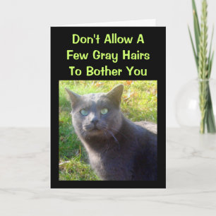 Cranky Cat Carte d'anniversaire humoristique