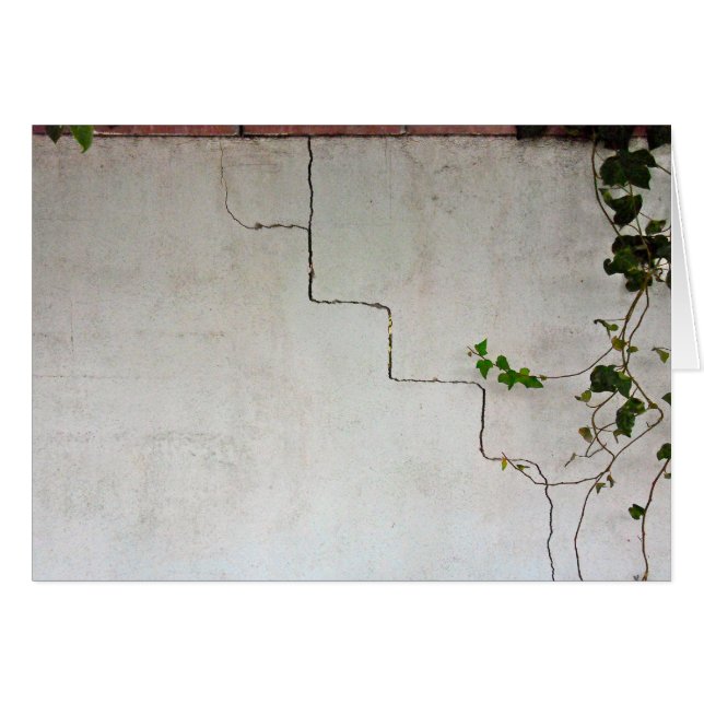 Craqué avec de la vigne (Devant horizontal)