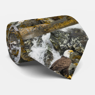 Cravate Aigle à tête blanche