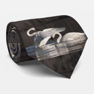 Cravate Aimer les cygnes