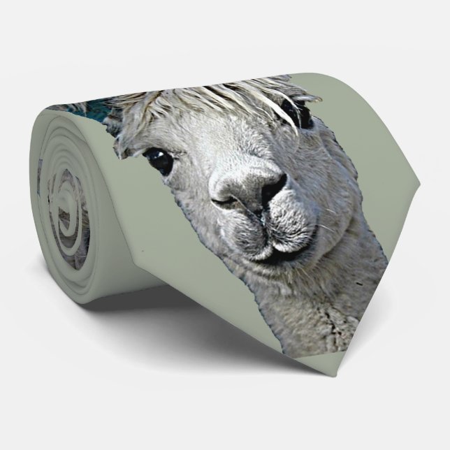 Cravate Alpaga adorable (Roulé)