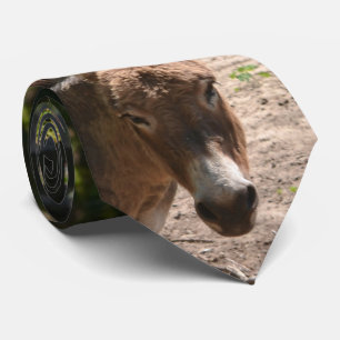 Cravate Âne Democratic