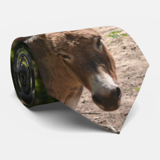 Cravate Âne Democratic