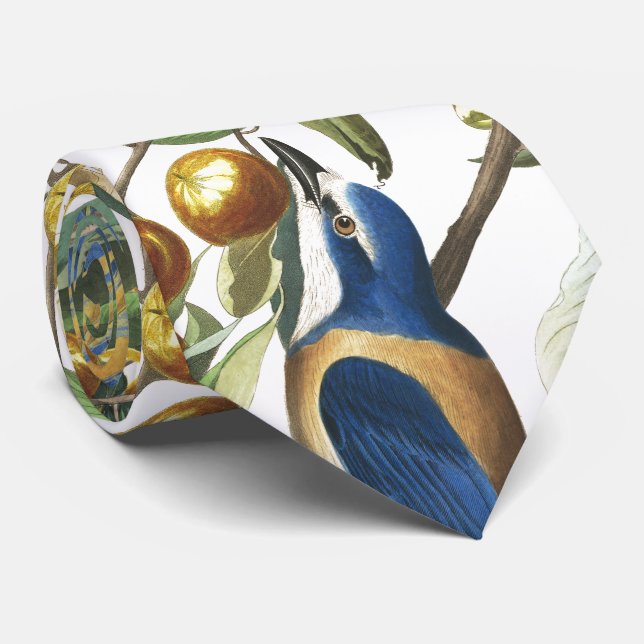 Cravate animale de faune d'oiseaux de geai (Roulé)
