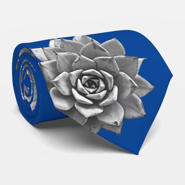 Cravate Aquarelle Succulents Gris sur Bleu (Roulé)