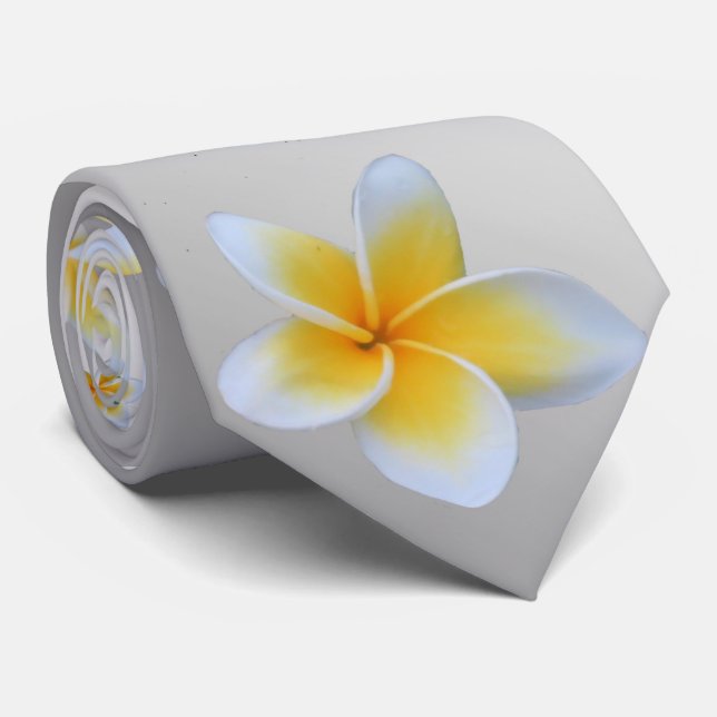 Cravate asiatique, jaune, blanc, floraison, brillant, or,  (Roulé)