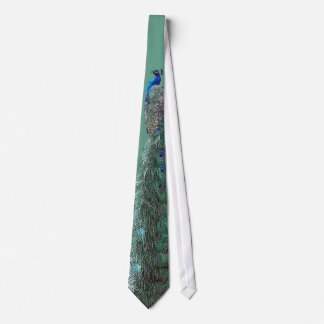 Cravate aux oiseaux de Peacock