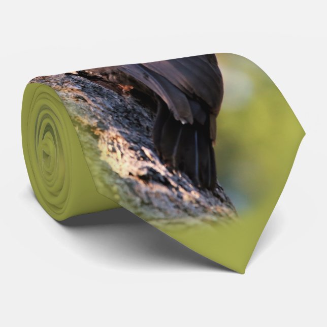 Cravate Beau pic pilé sur l'arbre (Roulé)