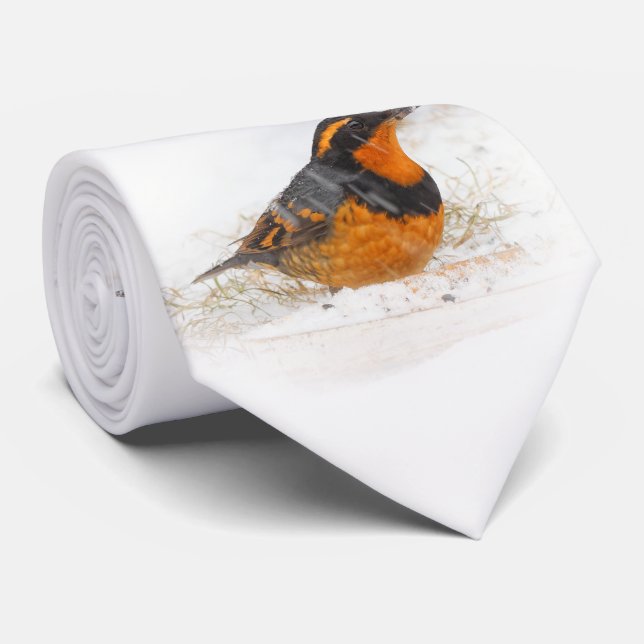 Cravate Beautiful Varied Thrush Songbird in the Snow (Roulé)