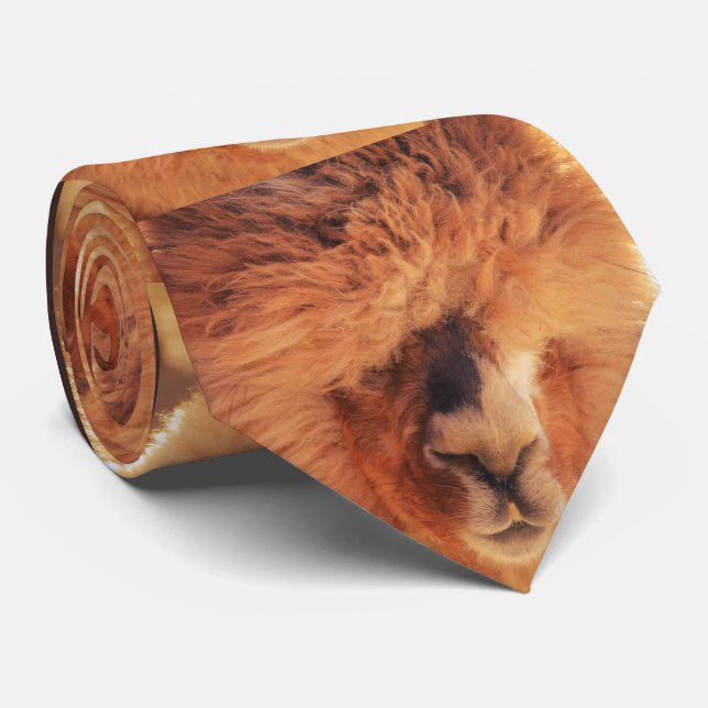 Cravate Bel alpaga de lama (Roulé)