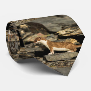 Cravate Belette de chasse